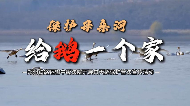 保护母亲河  给鹅一个家